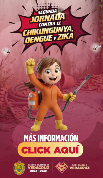 Banner-Dengue--1056× 1328 px